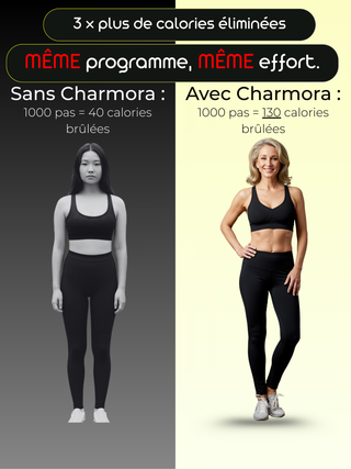 Leggings Contour Sculptant